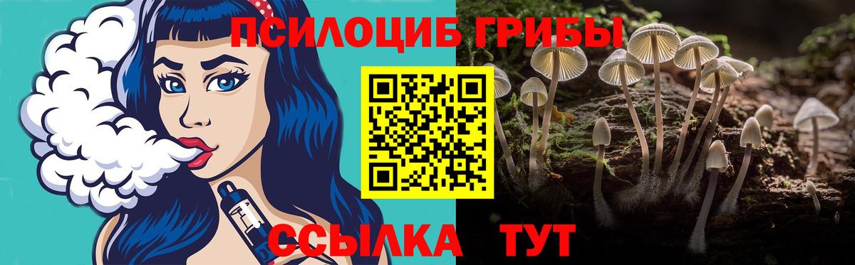 Трёхгорный  Псилоцибиновые грибы Psilocybine cubensis  Вход с VPN 